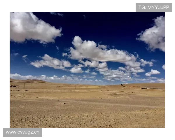 开云登陆常见问题及解决方案助你轻松应对登录异常情况