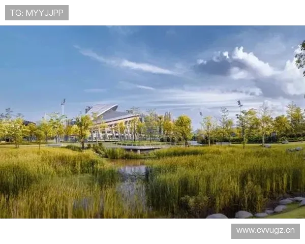 纵览mk体育官方下载提供的多样化体育项目和玩法