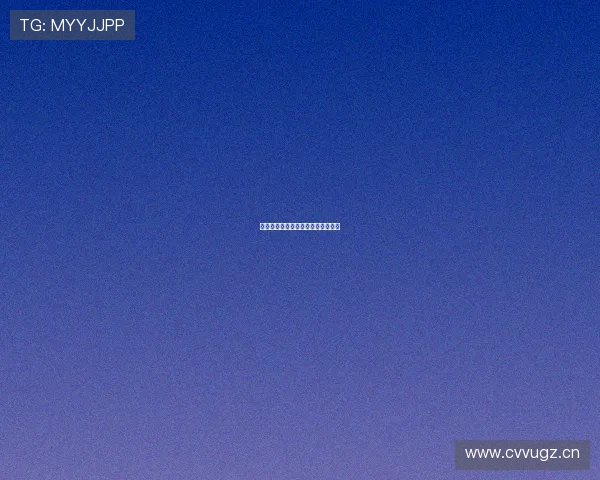 详解完美正规官网的功能与服务内容