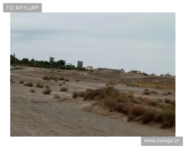 9游会官网平台常见问题解答帮助玩家解决使用中的疑难杂症