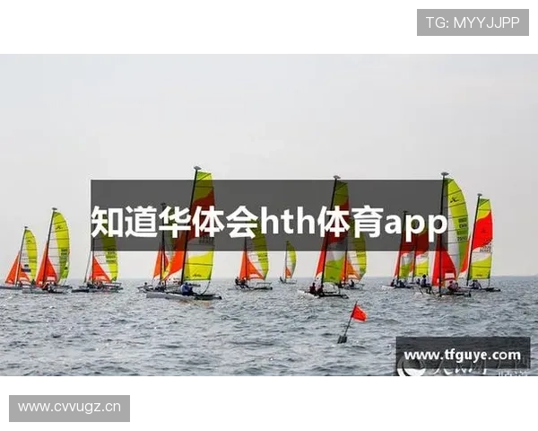 华体会体育网址如何优化用户体验，提供更流畅的体育直播和互动服务