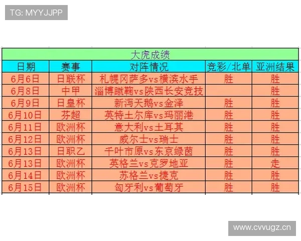 欧洲杯买球推荐平台最新分析与选择指南帮助玩家轻松赢取比赛投注收益